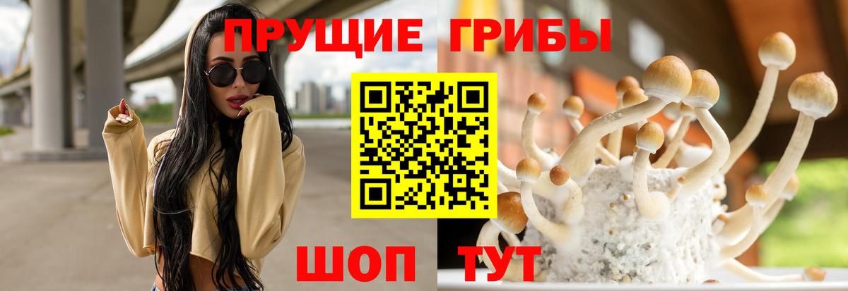 Электрогорск  Псилоцибиновые грибы ЛСД  Псилоцибиновые грибы GOLDEN TEACHER  Вход с VPN 
